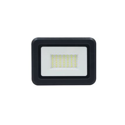 LED Strålkastare LED/30W/230V 4000K IP65