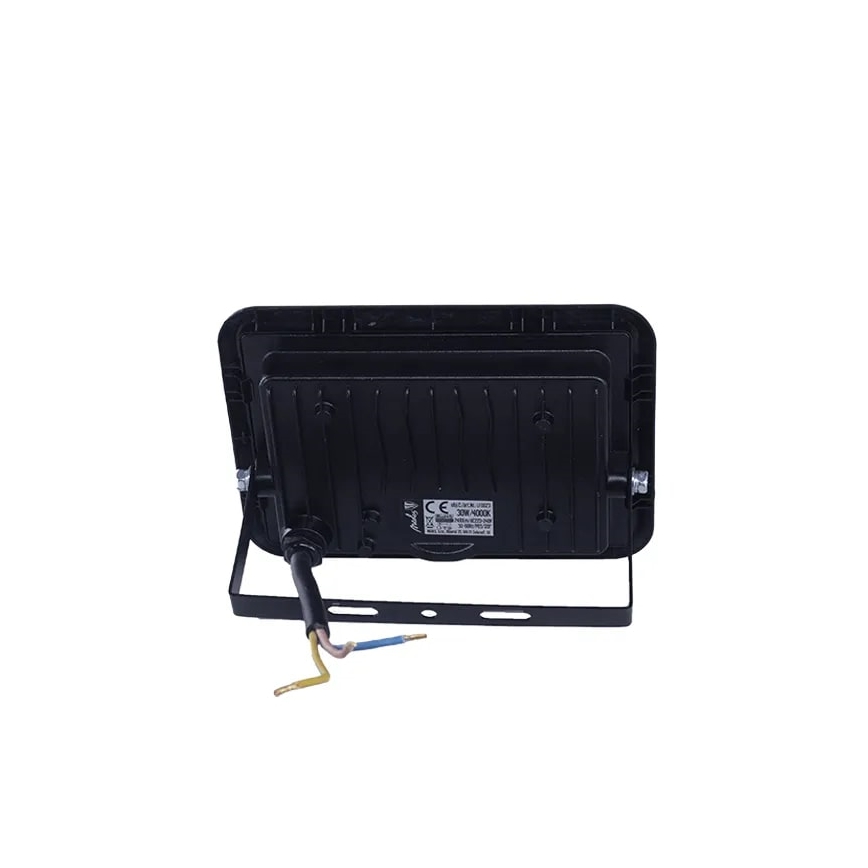 LED Strålkastare LED/30W/230V 4000K IP65