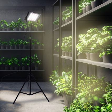 LED Strålkastare med ett stativ för att odla växter FIRON LED/45W/230V IP54 svart
