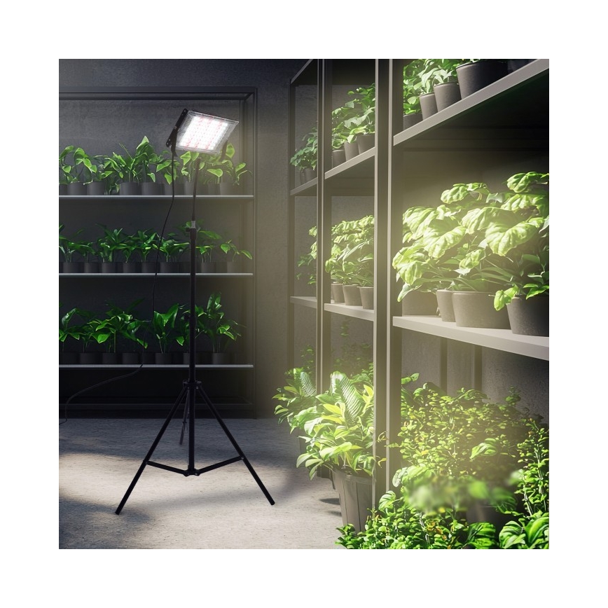 LED Strålkastare med ett stativ för att odla växter FIRON LED/45W/230V IP54 svart