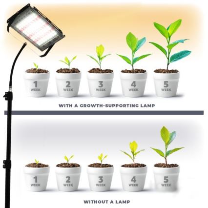 LED Strålkastare med ett stativ för att odla växter FIRON LED/45W/230V IP54 svart