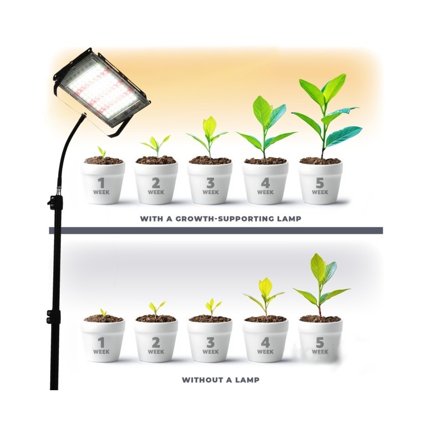 LED Strålkastare med ett stativ för att odla växter FIRON LED/45W/230V IP54 svart