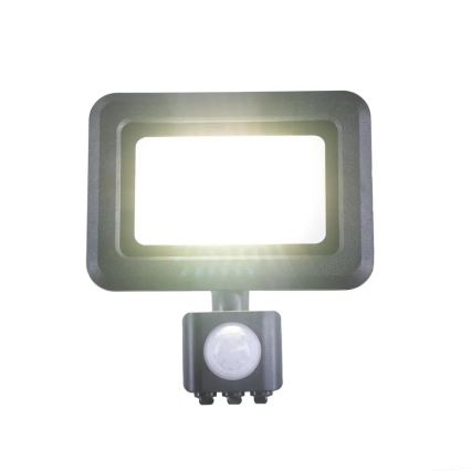 LED strålkastare med sensor LED/20W/230V 4000K IP44