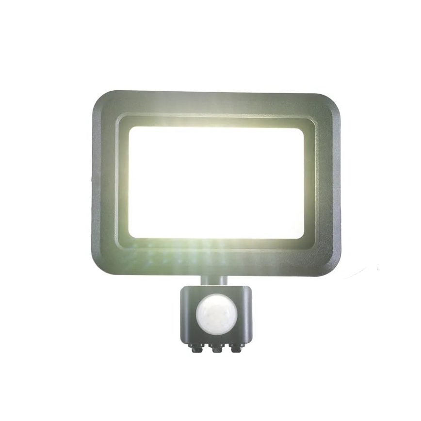 LED strålkastare med sensor LED/30W/230V 4000K IP44