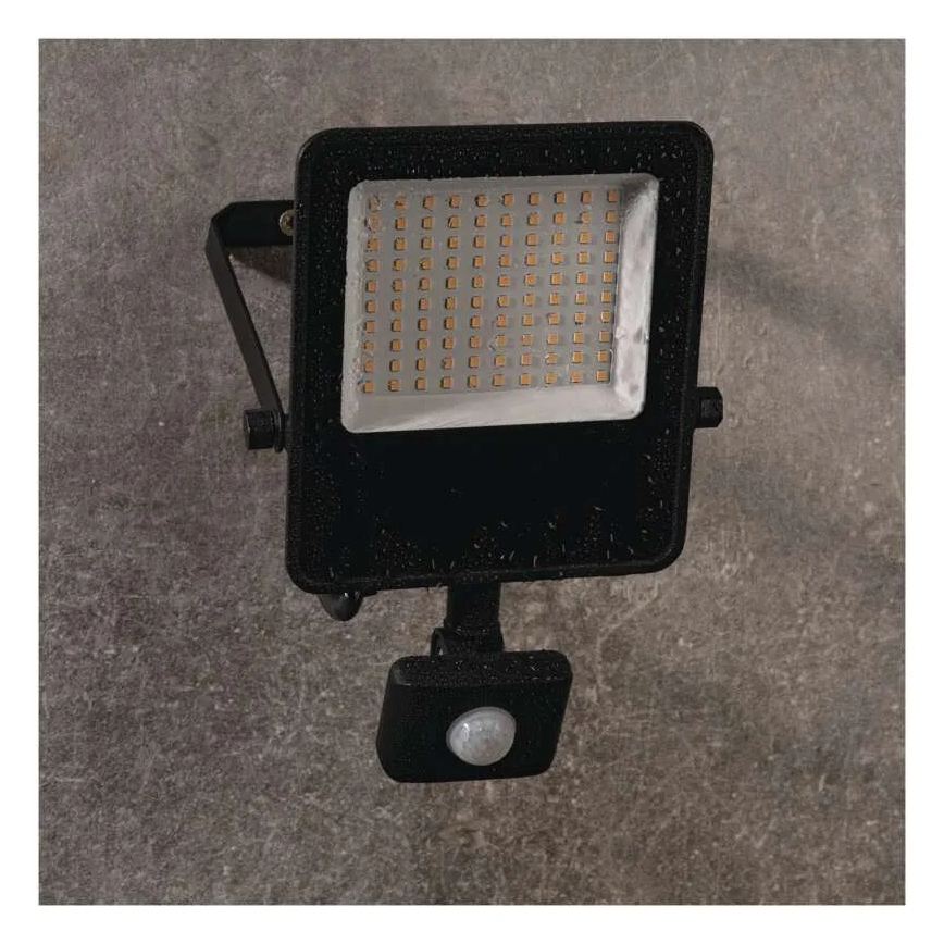LED strålkastare med sensor VISIO LED/50W/230V 4000K IP65