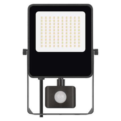 LED strålkastare med sensor VISIO LED/50W/230V 4000K IP65