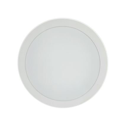 LED-taklampa med rörelsesensor LED/20W/230V 3000/4000/6500K diam. 230 cm IP54 grå