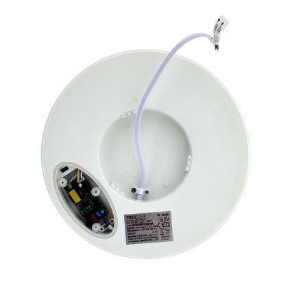 LED-taklampa med rörelsesensor LED/20W/230V 3000/4000/6500K diam. 230 cm IP54 grå