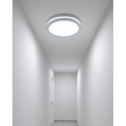 LED taklampa för badrum med rörelsesensor LED/20W/230V 3000/4000/6500K Ø 23 cm IP54 vit