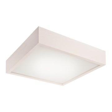 LED Takbelysning 1xLED/24W/230V