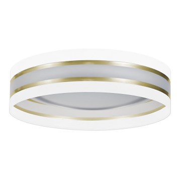 LED Takbelysning CORAL GOLD 1xLED/24W/230V vit/guld