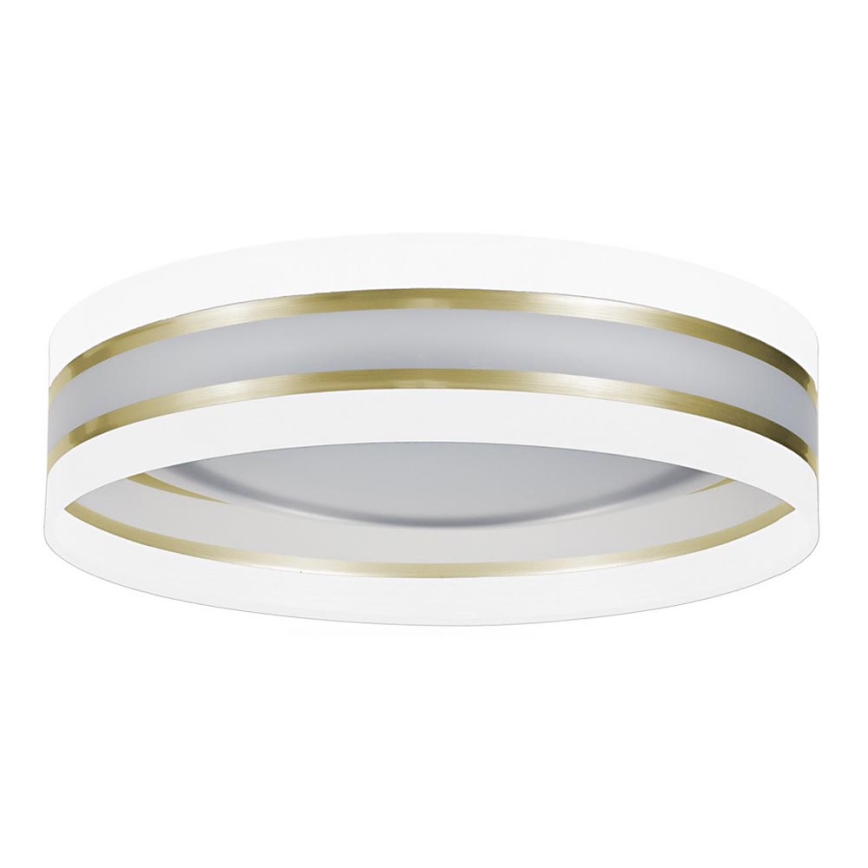 LED Takbelysning CORAL GOLD 1xLED/24W/230V vit/guld