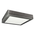 LED Takbelysning FENIX LED/24W/230V 3800K 29,8 cm