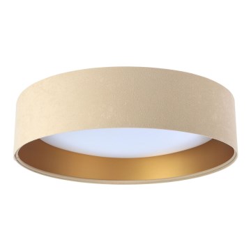 LED Takbelysning GALAXY 1xLED/24W/230V beige/guld