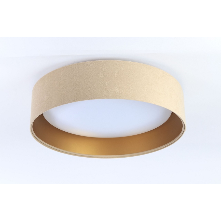 LED Takbelysning GALAXY 1xLED/24W/230V beige/guld