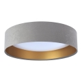 LED Takbelysning GALAXY 1xLED/24W/230V grå/guld