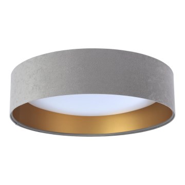 LED Takbelysning GALAXY 1xLED/24W/230V grå/guld