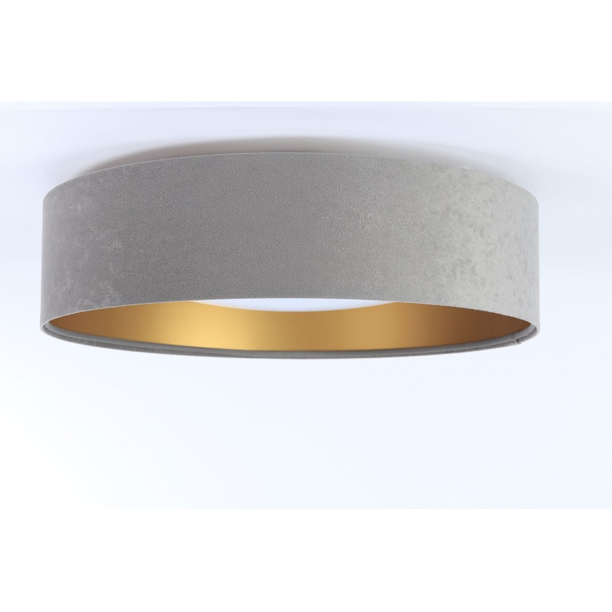 LED Takbelysning GALAXY 1xLED/24W/230V grå/guld