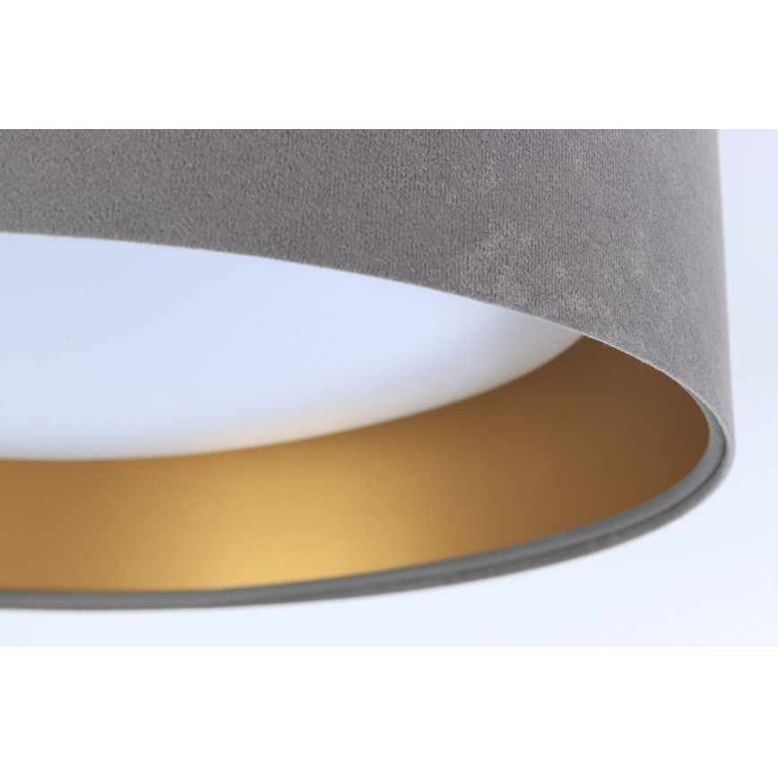 LED Takbelysning GALAXY 1xLED/24W/230V grå/guld