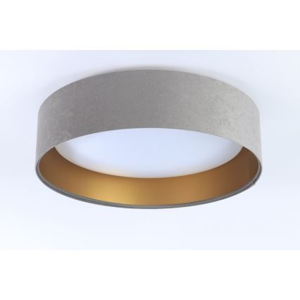 LED Takbelysning GALAXY 1xLED/24W/230V grå/guld