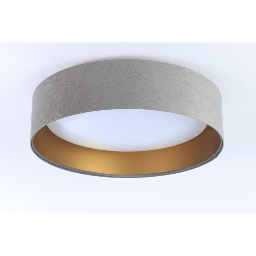 LED Takbelysning GALAXY 1xLED/24W/230V grå/guld