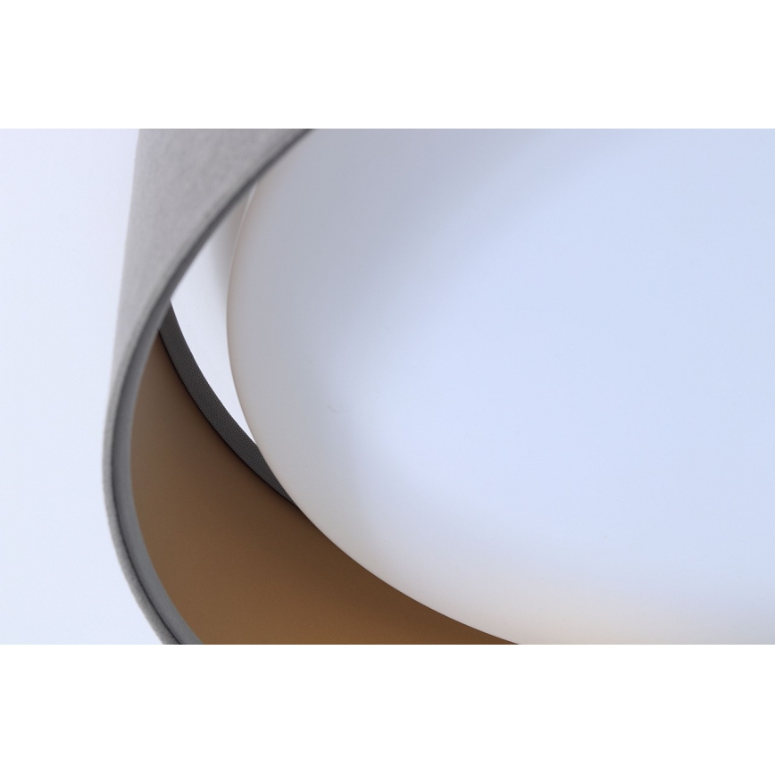 LED Takbelysning GALAXY 1xLED/24W/230V grå/guld