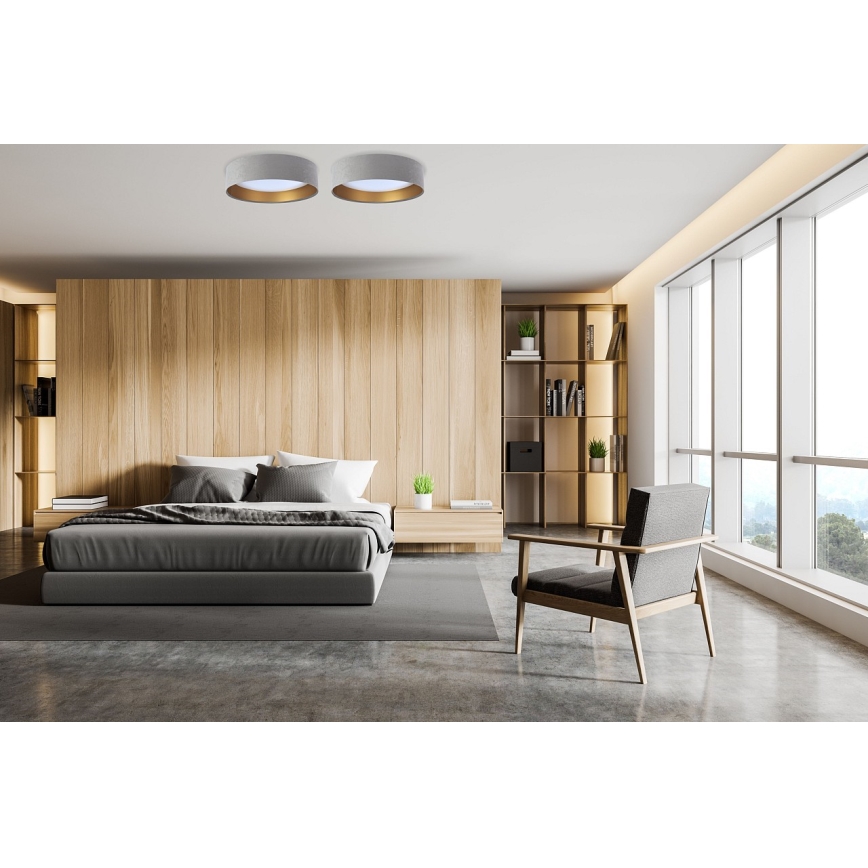 LED Takbelysning GALAXY 1xLED/24W/230V grå/guld