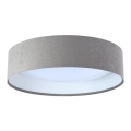 LED Takbelysning GALAXY 1xLED/24W/230V grå/vit