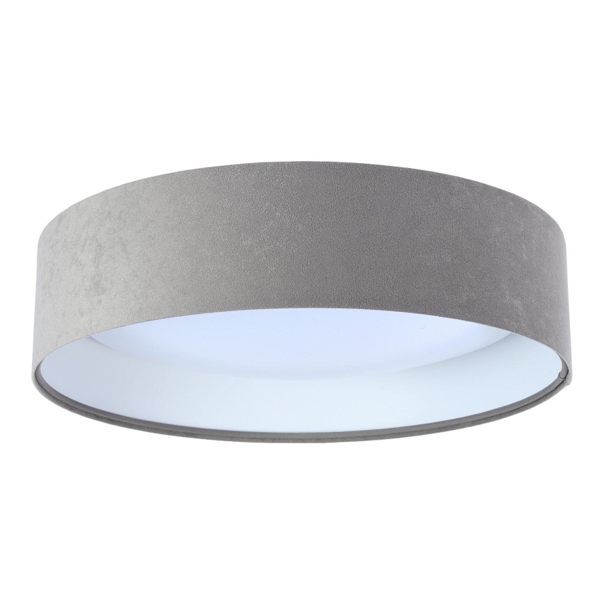 LED Takbelysning GALAXY 1xLED/24W/230V grå/vit