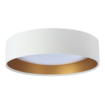 LED Takbelysning GALAXY 1xLED/24W/230V vit/guld