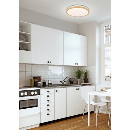 LED Takbelysning GANDAVA LED/24W/230V