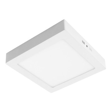 LED Takbelysning GERRY LED/24W/230V 3,000K