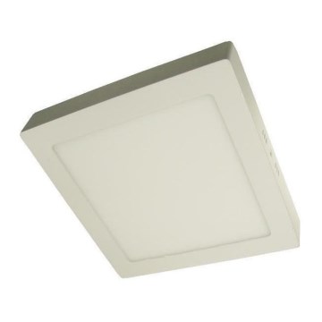 LED Takbelysning GERRY LED/24W/230V 4,000K