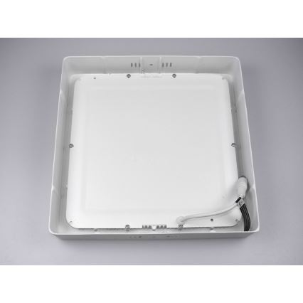 LED Takbelysning GERRY LED/24W/230V 6,000K