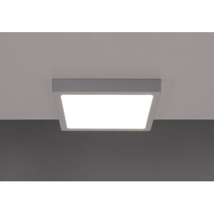LED Takbelysning GERRY LED/6W/230V 4000K
