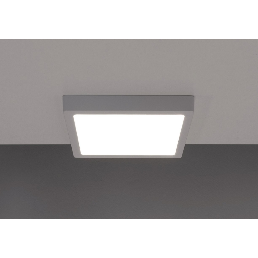 LED Takbelysning GERRY LED/6W/230V 4000K