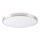 LED Takbelysning KERN LED/24W/230V nickel