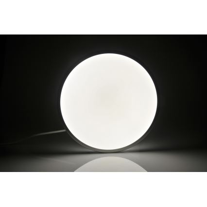 LED Takbelysning KERN LED/24W/230V nickel