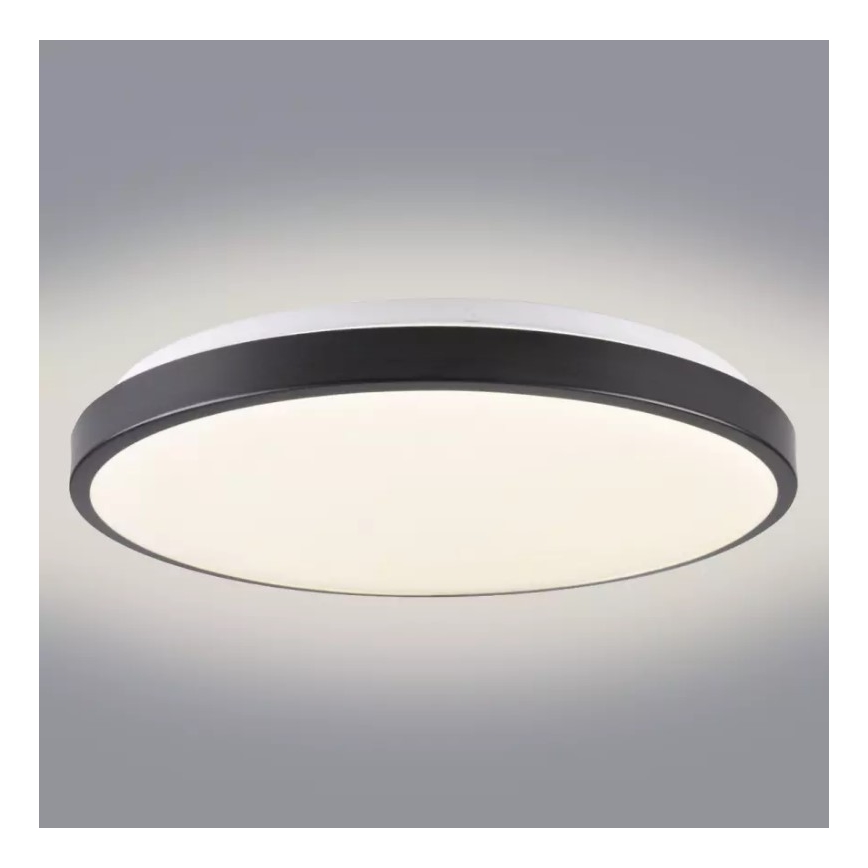LED Takbelysning KERN LED/24W/230V svart