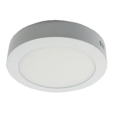 LED Takbelysning LED/12W/230V 3000K
