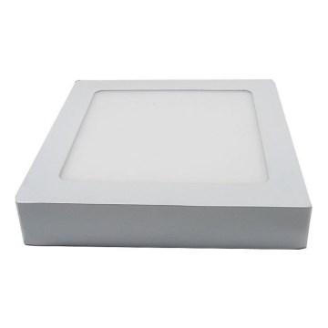 LED Takbelysning LED/12W/230V 6000K
