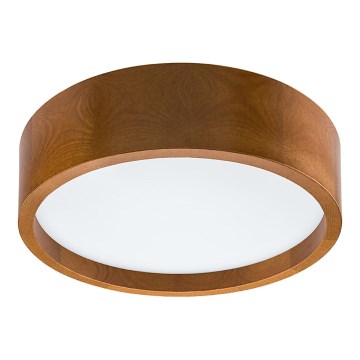 LED Takbelysning LED/12W/230V