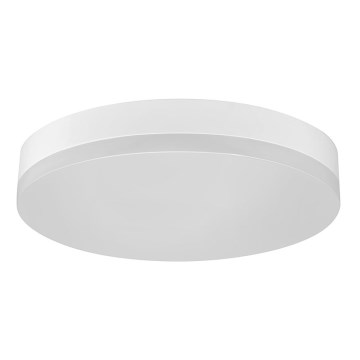 LED Takbelysning LED/12W/230V IP44