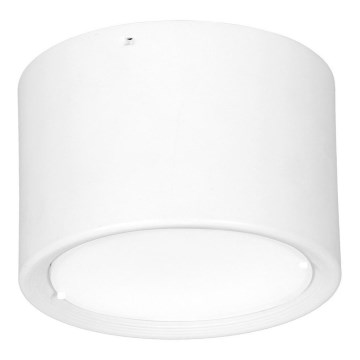 LED Takbelysning LED/16W/230V vit d. 12 cm