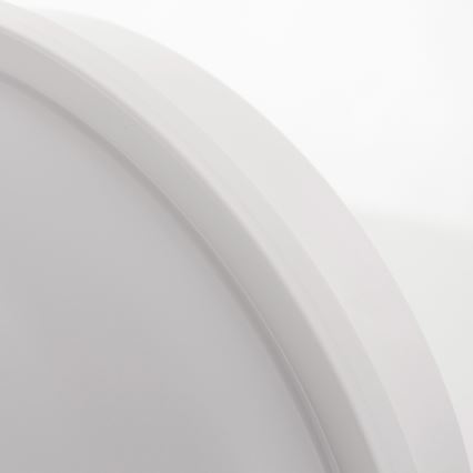 LED Takbelysning LED/20W/230V IP65