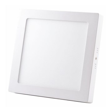 LED Takbelysning LED/24W/230V 4000K