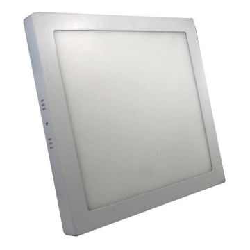 LED Takbelysning LED/24W/230V 6000K