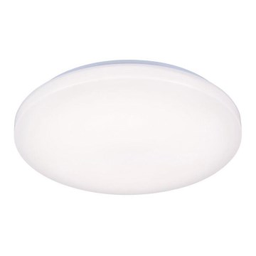 LED Takbelysning OPAL LED/50W/176-264V