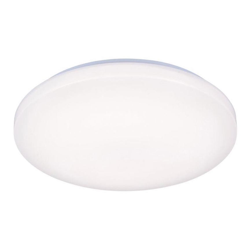 LED Takbelysning OPAL LED/50W/176-264V