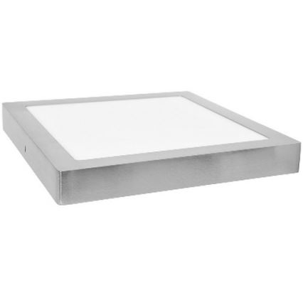 LED Takbelysning RAFA LED/12W/230V 2700K